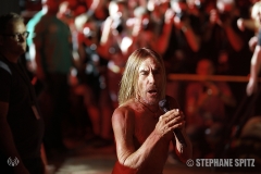 5-Iggy-Pop-16