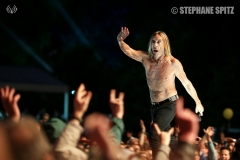 17-Iggy-Pop-8