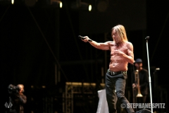 17-Iggy-Pop-9